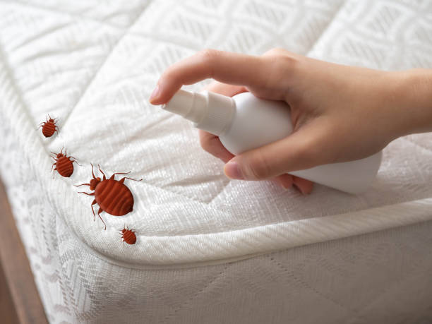 Best Residential Pest Control  in Las Lomas, CA